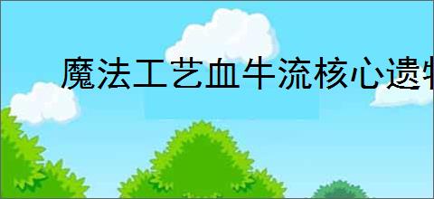 魔法工艺血牛流核心遗物有什么