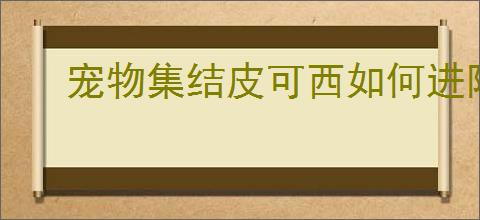 宠物集结皮可西如何进阶