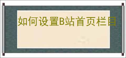 如何设置B站首页栏目