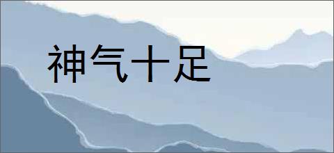 神气十足的意思,及其含义,神气十足基本解释