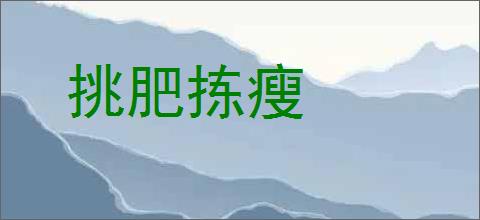 挑肥拣瘦的意思,及其含义,挑肥拣瘦基本解释