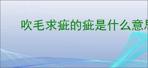 吹毛求疵的疵是什么意思