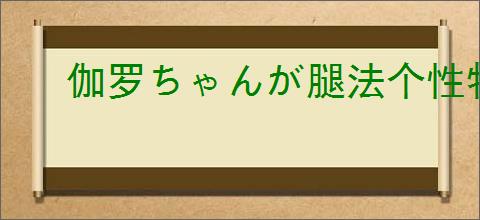 伽罗ちゃんが腿法个性特点