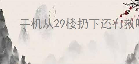 手机从29楼扔下还有救吗