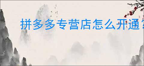 拼多多专营店怎么开通？开通个人店铺还是企业运营？