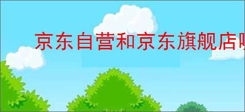 京东自营和京东旗舰店哪个好?有什么区别?