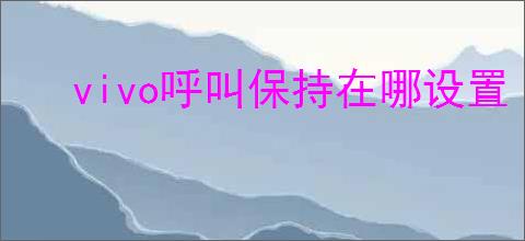 vivo呼叫保持在哪设置