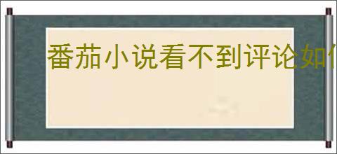 番茄小说看不到评论如何解决