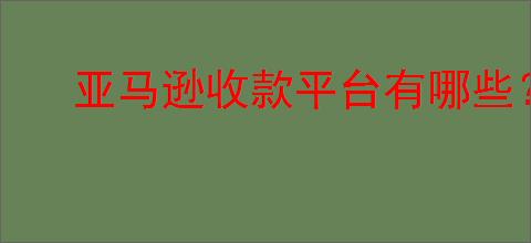 亚马逊收款平台有哪些?亚马逊跨境电商卖家<a href=