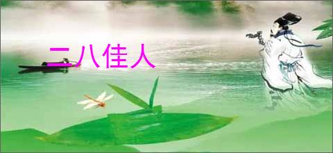 二八佳人