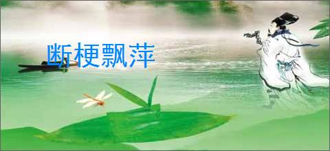 断梗飘萍