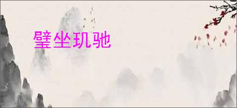 璧坐玑驰