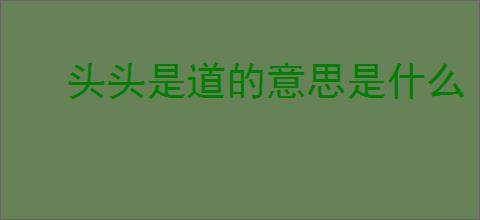 头头是道的意思是什么