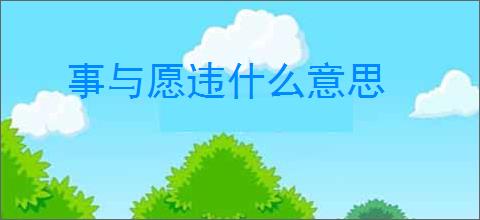 事与愿违什么意思