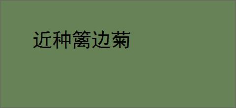 近种篱边菊