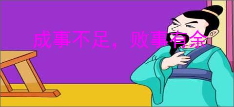 成事不足,败事有余