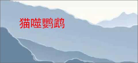 猫噬鹦鹉