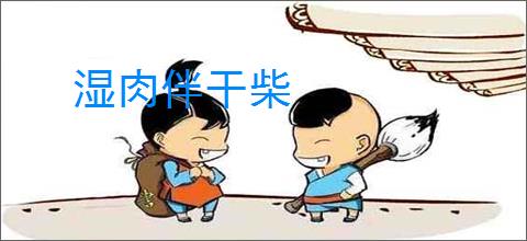 湿肉伴干柴