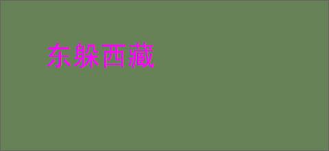东躲西藏