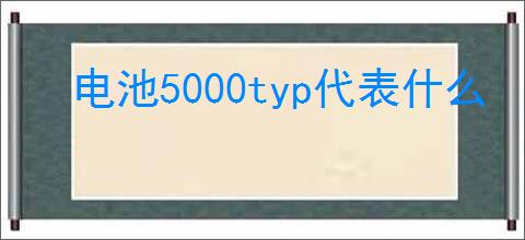 电池5000typ代表什么