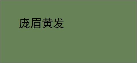 庞眉黄发