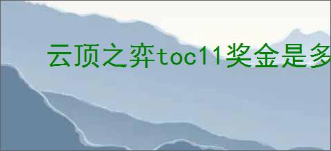 云顶之弈toc11奖金是多少