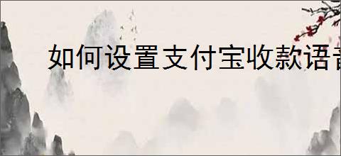 如何设置支付宝收款语音播报功能提升店铺销量