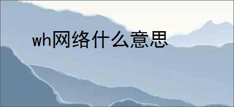 wh网络什么意思