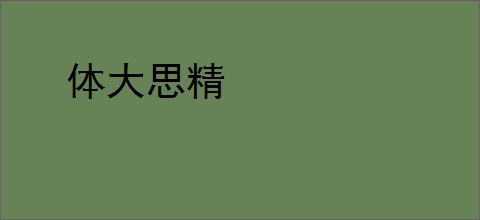 体大思精