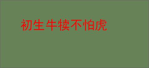 初生牛犊不怕虎