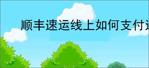 顺丰速运线上如何支付运费