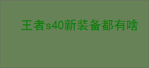 王者s40新装备都有啥