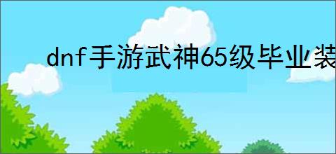 dnf手游武神65级毕业装备如何搭配