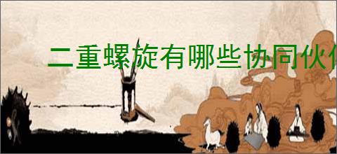 二重螺旋有哪些协同伙伴