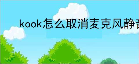 kook怎么取消麦克风静音