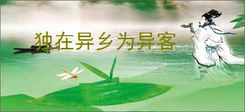 独在异乡为异客