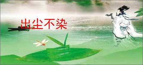 出尘不染