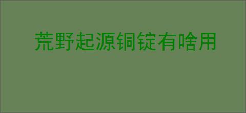 荒野起源铜锭有啥用