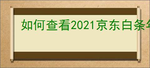 如何查看2021京东白条年度账单