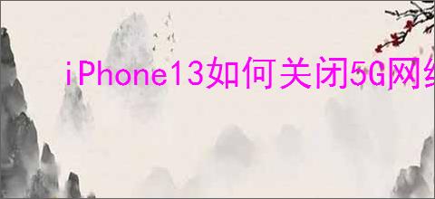 iPhone13如何关闭5G网络
