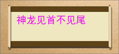 神龙见首不见尾