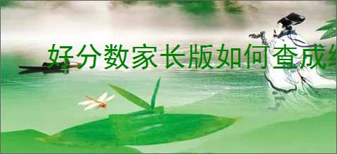 好分数家长版如何查成绩