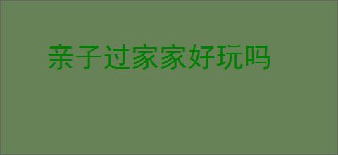 亲子过家家好玩吗