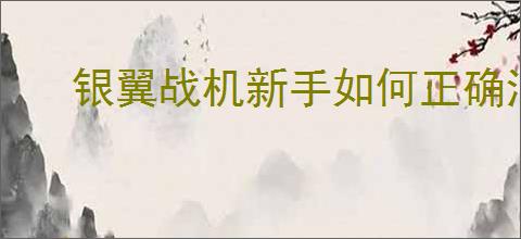 银翼战机新手如何正确消耗钻石