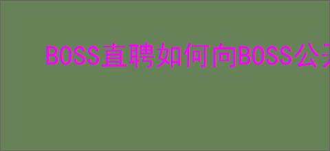 BOSS直聘如何向BOSS公开简历