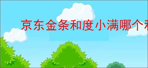 京东金条和度小满哪个利息高