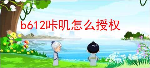 b612咔叽怎么授权