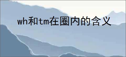 wh和tm在圈内的含义