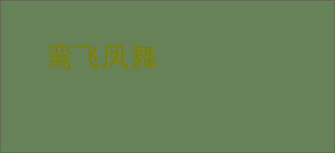 鸾飞凤舞