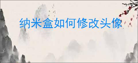 纳米盒如何修改头像